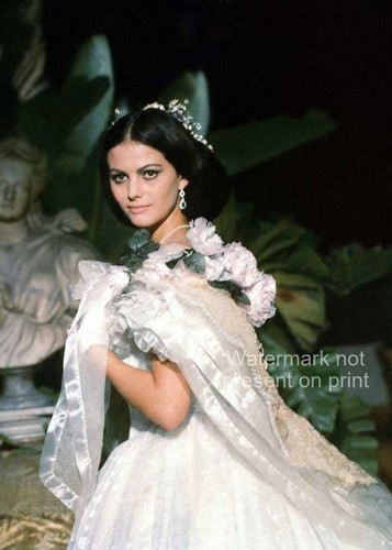 Claudia cardinale photo 5x7 - photo,